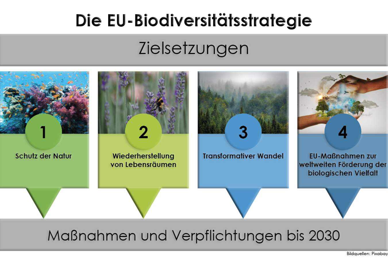 Schematische Darstellung: Zielsetzungen der EU-Biodiversitätsstrategie